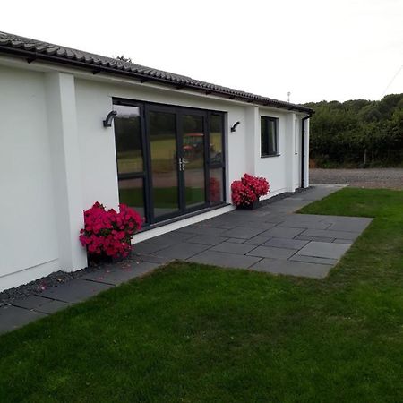 Foxholes Accommodation Felton  Exterior foto